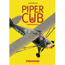 PIPER CUB The Passionate Aircraft for airplane pilots | BAYO