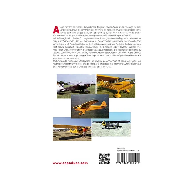PIPER CUB L'avion passion